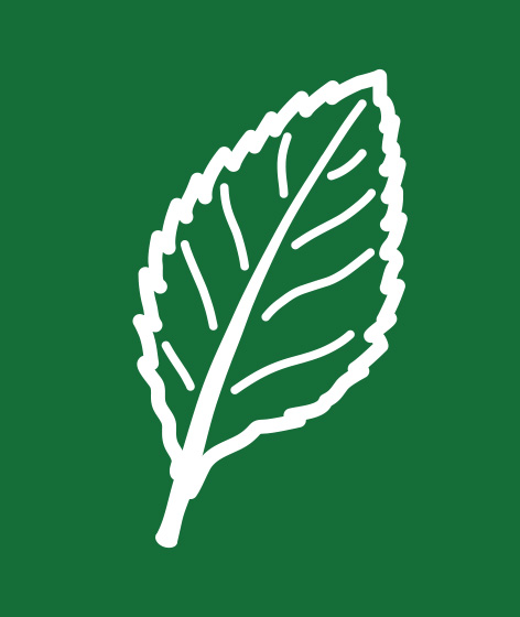 NWV ICON Botanik