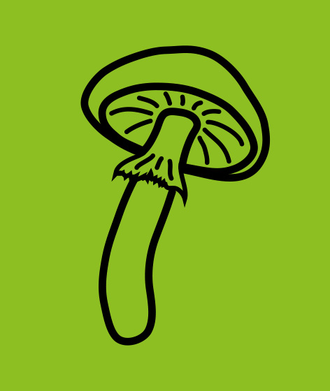 NWV ICON Pilzkunde