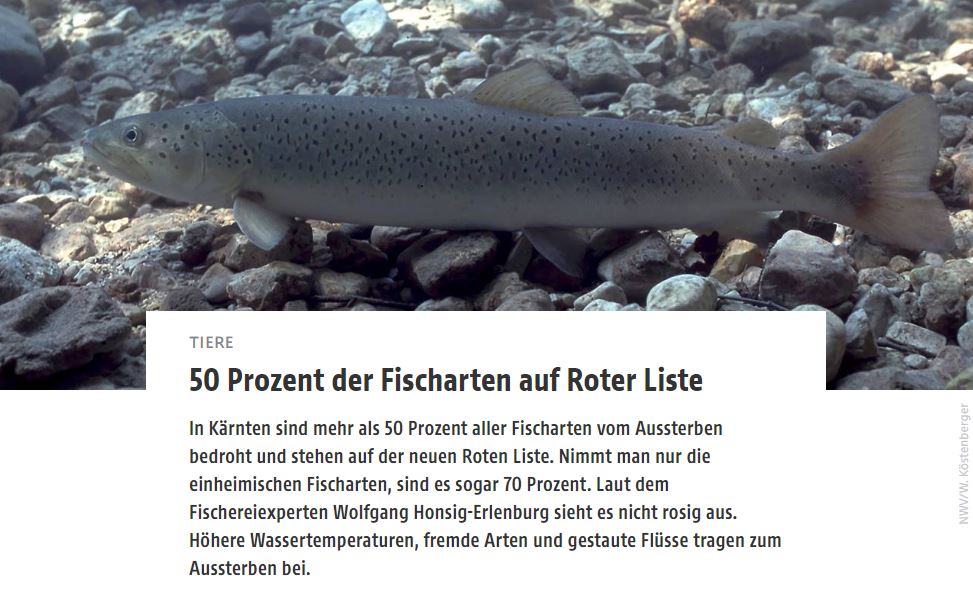 orf presse homepage 270323